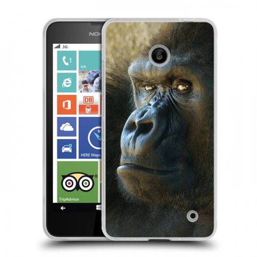 Дизайнерский пластиковый чехол для Nokia Lumia 630/635 Обезьяны