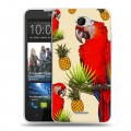 Дизайнерский пластиковый чехол для HTC Desire 516 Птицы и фрукты