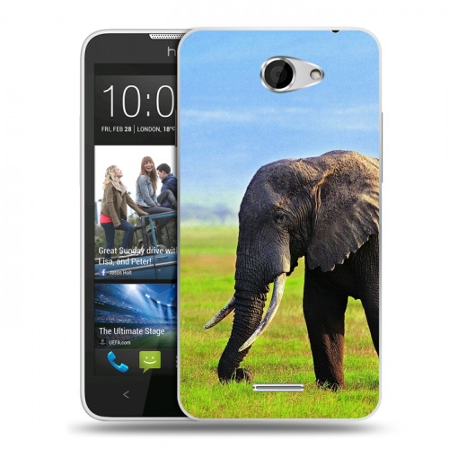 Дизайнерский пластиковый чехол для HTC Desire 516 Слоны