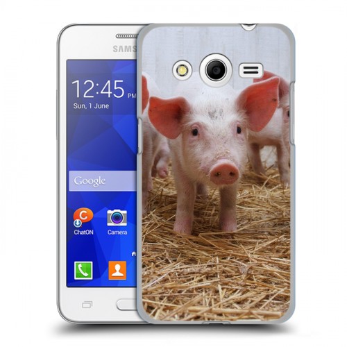 Дизайнерский пластиковый чехол для Samsung Galaxy Core 2 Свинки