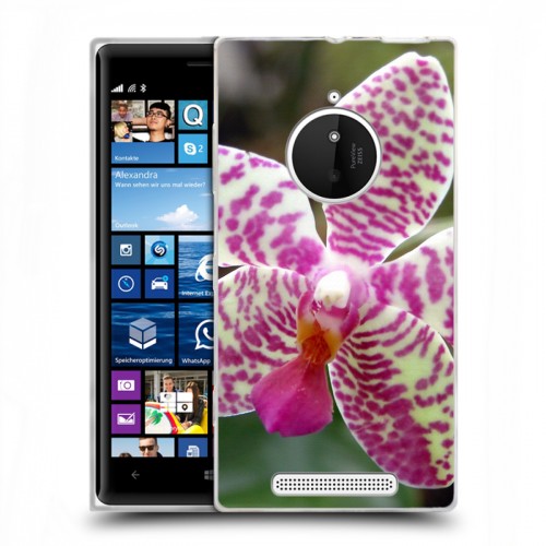 Дизайнерский пластиковый чехол для Nokia Lumia 830 Орхидеи
