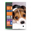 Дизайнерский пластиковый чехол для Nokia Lumia 730/735 Щенки