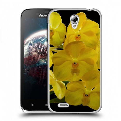 Дизайнерский пластиковый чехол для Lenovo A859 Ideaphone Орхидеи