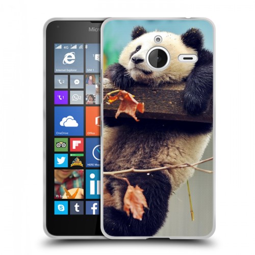 Дизайнерский пластиковый чехол для Microsoft Lumia 640 XL Панды