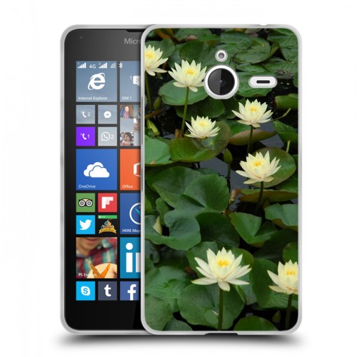 Дизайнерский пластиковый чехол для Microsoft Lumia 640 XL Кувшинки