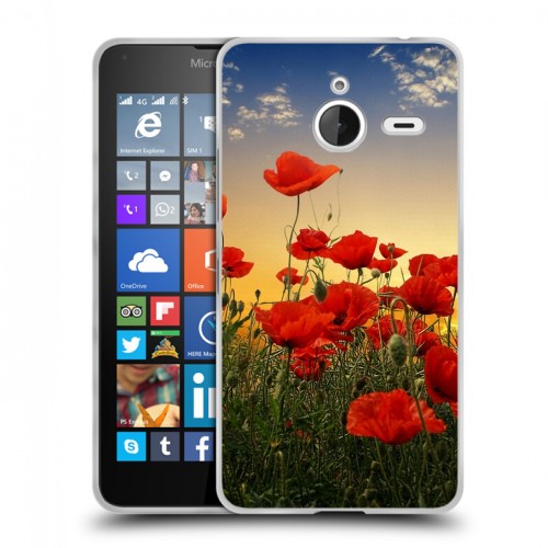 Дизайнерский пластиковый чехол для Microsoft Lumia 640 XL Мак