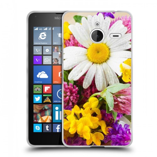 Дизайнерский пластиковый чехол для Microsoft Lumia 640 XL Ромашки