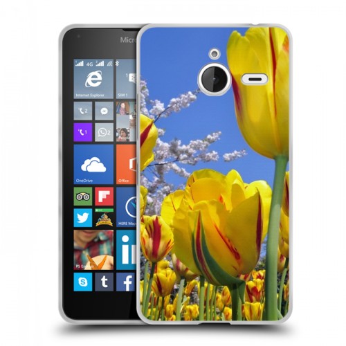 Дизайнерский пластиковый чехол для Microsoft Lumia 640 XL Тюльпаны