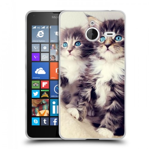 Дизайнерский пластиковый чехол для Microsoft Lumia 640 XL Котята