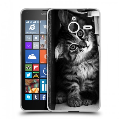 Дизайнерский пластиковый чехол для Microsoft Lumia 640 XL Котята