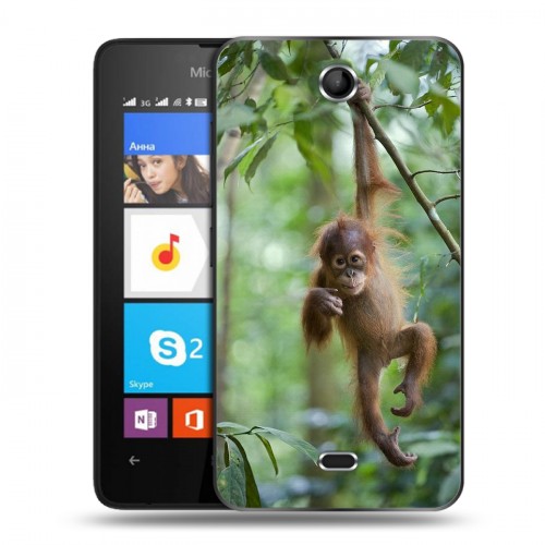 Дизайнерский силиконовый чехол для Microsoft Lumia 430 Dual SIM Обезьяны