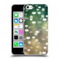 Дизайнерский пластиковый чехол для Iphone 5c Прекрасные одуванчики