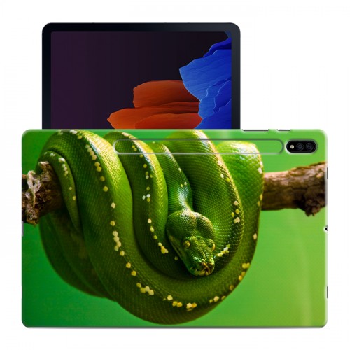 Дизайнерский силиконовый чехол для Samsung Galaxy Tab S7 Plus Змеи