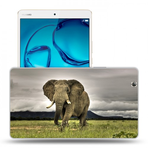 Дизайнерский силиконовый чехол для Huawei MediaPad M3 Слоны