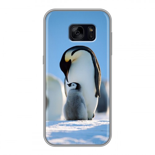 Дизайнерский силиконовый чехол для Samsung Galaxy S7 Edge Пингвины