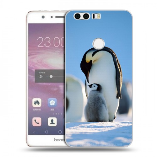 Дизайнерский пластиковый чехол для Huawei Honor 8 Пингвины