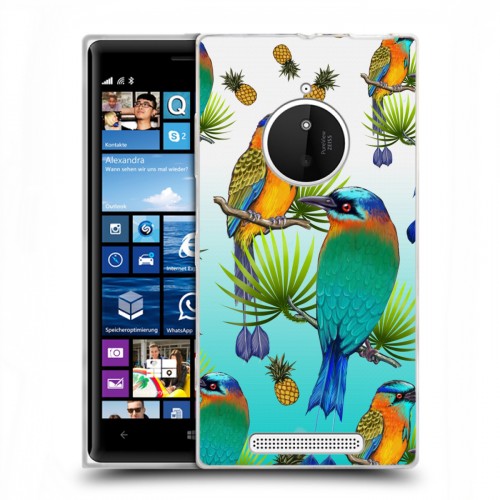 Дизайнерский пластиковый чехол для Nokia Lumia 830 Птицы и фрукты