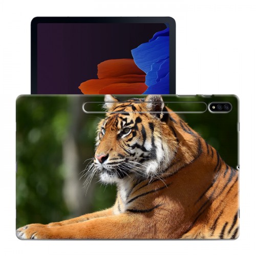 Дизайнерский силиконовый чехол для Samsung Galaxy Tab S7 Plus Тигры