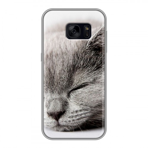 Дизайнерский силиконовый чехол для Samsung Galaxy S7 Edge Коты