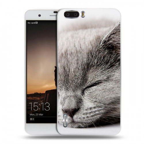 Дизайнерский пластиковый чехол для Huawei Honor 6 Plus Коты