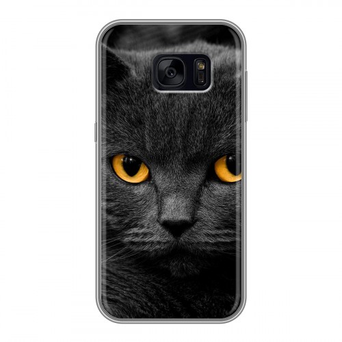 Дизайнерский силиконовый чехол для Samsung Galaxy S7 Edge Коты