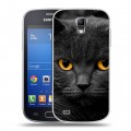 Дизайнерский пластиковый чехол для Samsung Galaxy S4 Active Коты