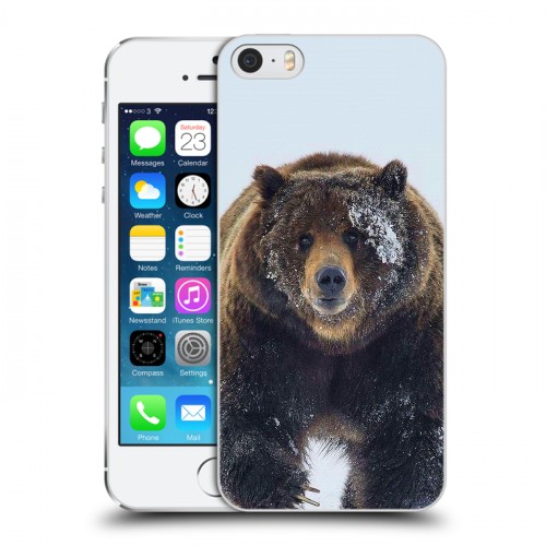 Дизайнерский пластиковый чехол для Iphone 5s Медведь