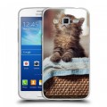 Дизайнерский пластиковый чехол для Samsung Galaxy Grand 2 Котята