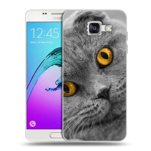 Дизайнерский силиконовый чехол для Samsung Galaxy A5 (2016) Кошки