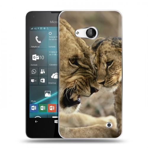 Дизайнерский пластиковый чехол для Microsoft Lumia 550 Львы