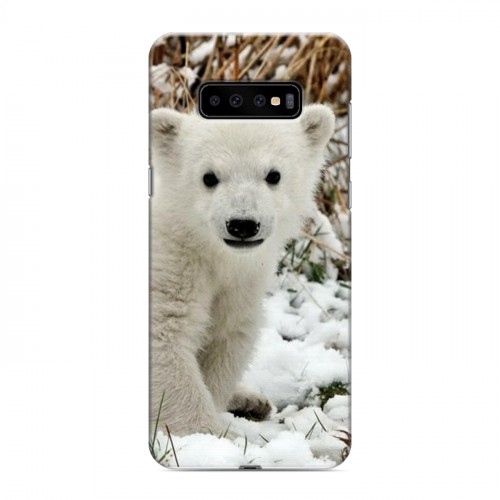 Дизайнерский пластиковый чехол для Samsung Galaxy S10 Plus Медведи