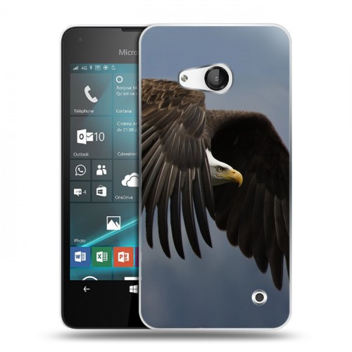 Дизайнерский пластиковый чехол для Microsoft Lumia 550 Орлы