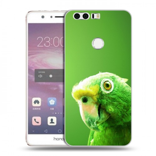 Дизайнерский пластиковый чехол для Huawei Honor 8 Попугаи