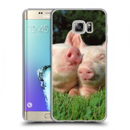 Дизайнерский пластиковый чехол для Samsung Galaxy S6 Edge Plus Свинки