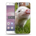 Дизайнерский пластиковый чехол для Huawei Honor 8 Свинки