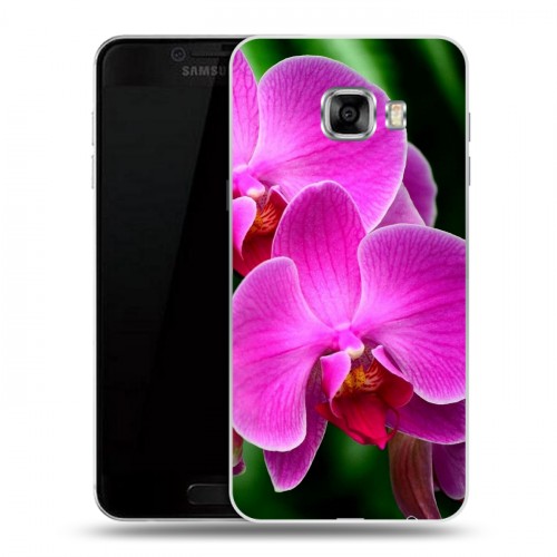 Дизайнерский пластиковый чехол для Samsung Galaxy C5 Орхидеи