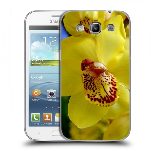Дизайнерский пластиковый чехол для Samsung Galaxy Win Орхидеи