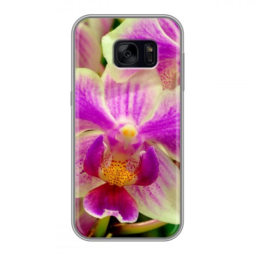 Дизайнерский силиконовый чехол для Samsung Galaxy S7 Edge Орхидеи