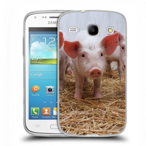 Дизайнерский пластиковый чехол для Samsung Galaxy Core Свинки