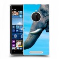 Дизайнерский пластиковый чехол для Nokia Lumia 830 Слоны