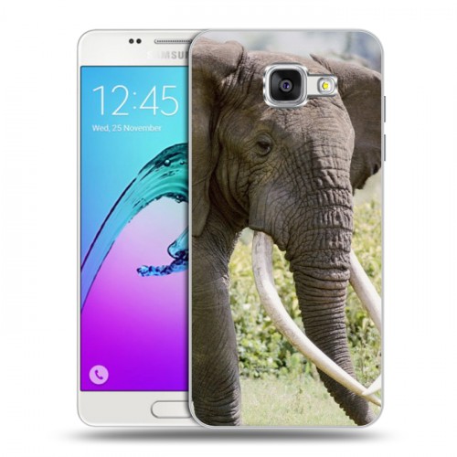 Дизайнерский силиконовый чехол для Samsung Galaxy A5 (2016) Слоны