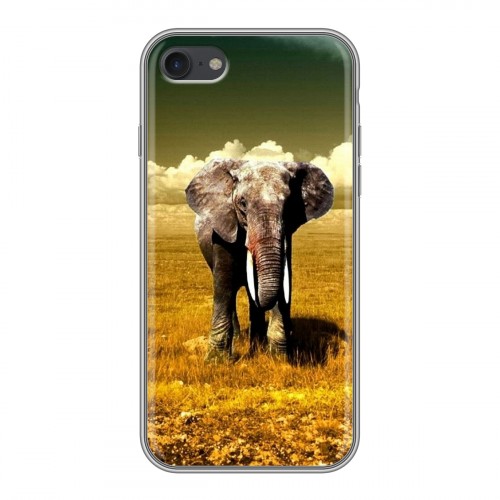 Дизайнерский силиконовый чехол для Iphone 7 Слоны