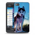 Дизайнерский пластиковый чехол для BlackBerry Z10 Собаки
