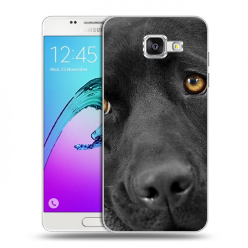 Дизайнерский силиконовый чехол для Samsung Galaxy A5 (2016) Собаки