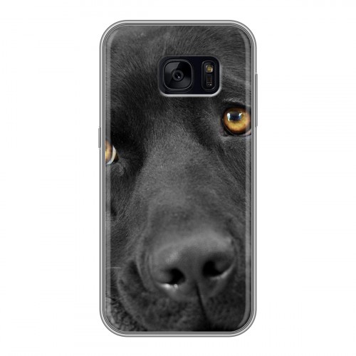 Дизайнерский силиконовый чехол для Samsung Galaxy S7 Edge Собаки