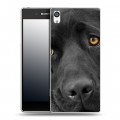 Дизайнерский пластиковый чехол для Sony Xperia E5 Собаки