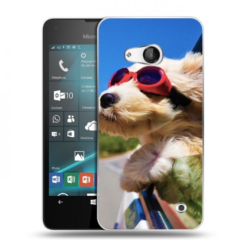 Дизайнерский пластиковый чехол для Microsoft Lumia 550 Собаки