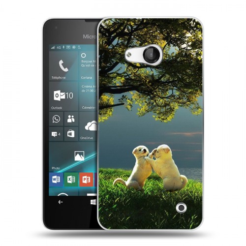 Дизайнерский пластиковый чехол для Microsoft Lumia 550 Щенки