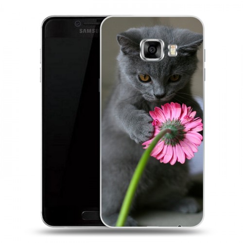 Дизайнерский пластиковый чехол для Samsung Galaxy C5 Котята