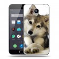 Дизайнерский пластиковый чехол для Meizu M2 Note Собаки